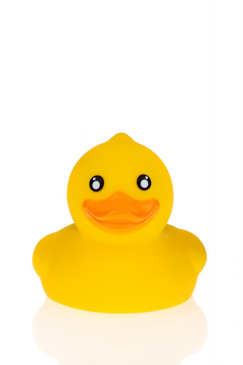 b&h baby duck thermometer